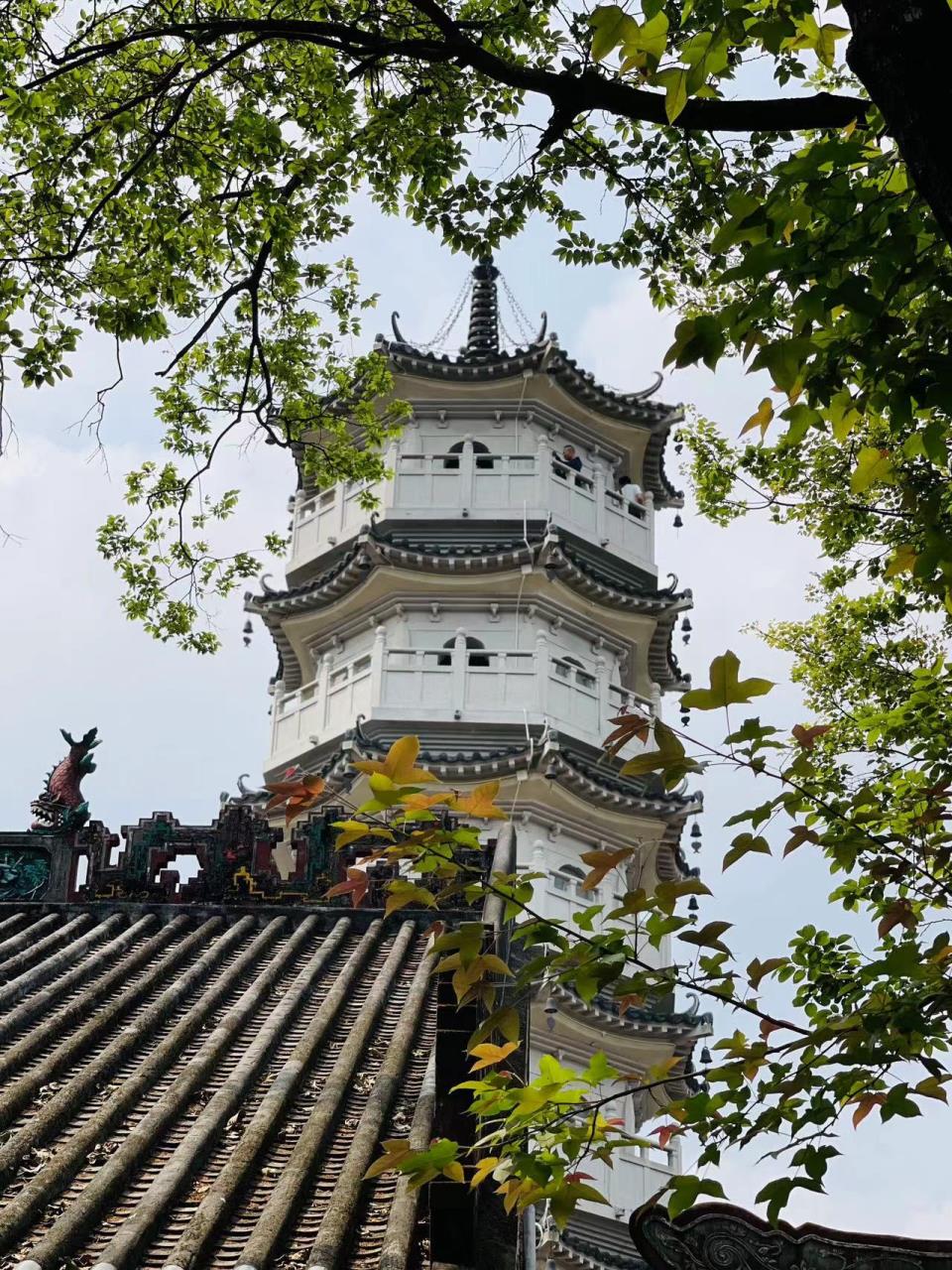 微信图片_20230323144854.jpg 微信图片_20230323144854.jpg